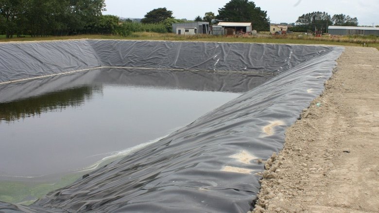 Completed dairy effluent pond at Swamp Farms in Otaua